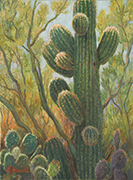 Saguaro Relationship Painting by Brenda Howell showing safuaro with many arms surrounded by palo verde and prickly pear cactus.